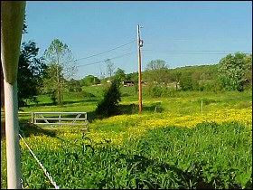 Pasture