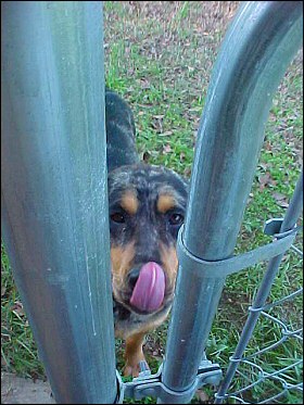 Xena