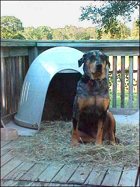 Casa Xena