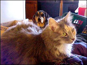 Chloe and Xena