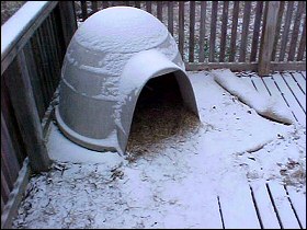 Xena's doghouse
