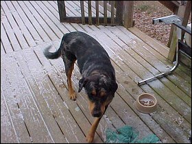 Xena