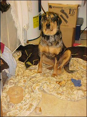 Xena