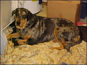 Xena