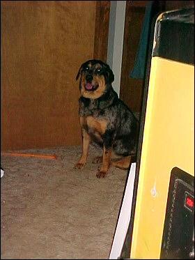 Xena