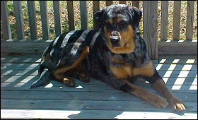 Xena