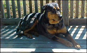 Xena