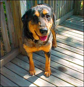 Xena