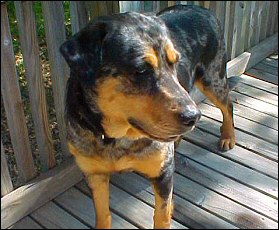 Xena