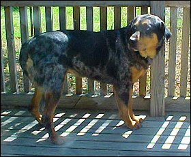 Xena
