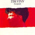 Tim Finn