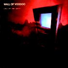 Wall Of Voodoo