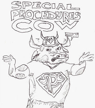 Special Procedures Cow!