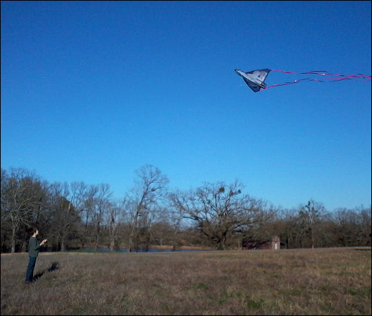 Little E flies a kite