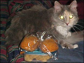 Chloe and chicken