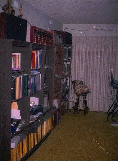 Earl's first apartment - bookshelves
