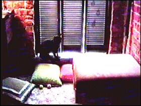 Earl's Apartment, circa 1997