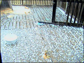 Hailstorm - March 9, 2006