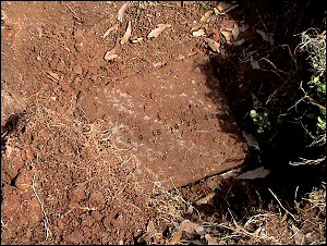 The septic receptacle at Casa Green