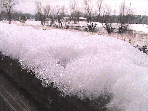 January 31 snowfall