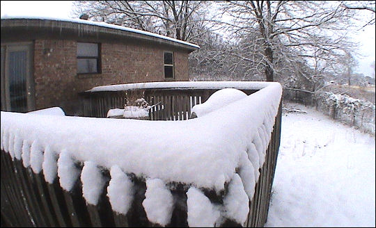 Snowstorm 2010