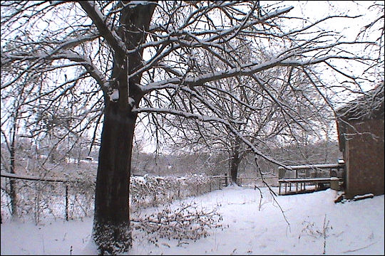 Snowstorm 2010