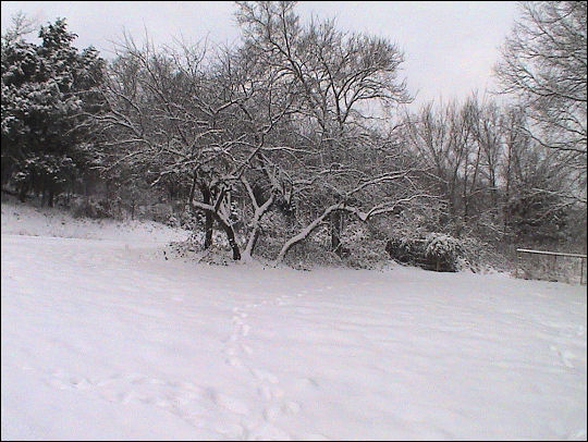 Snowstorm 2010