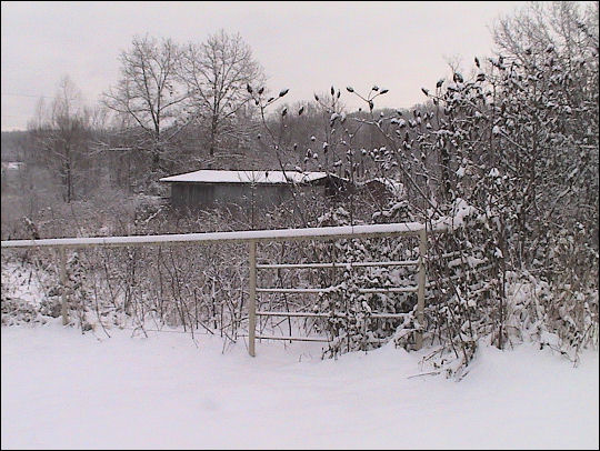 Snowstorm 2010