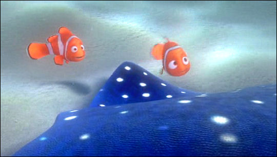 Nemo, come back!