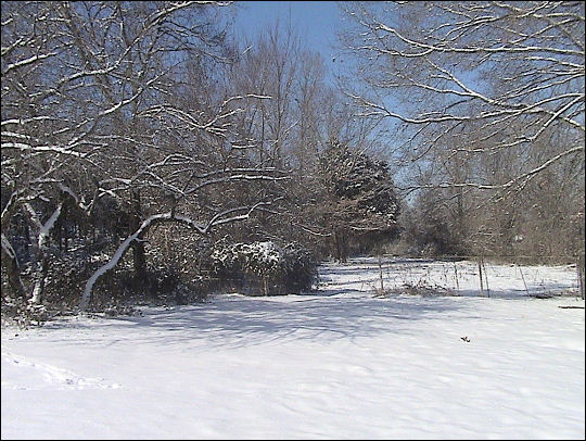 GTFsnOw