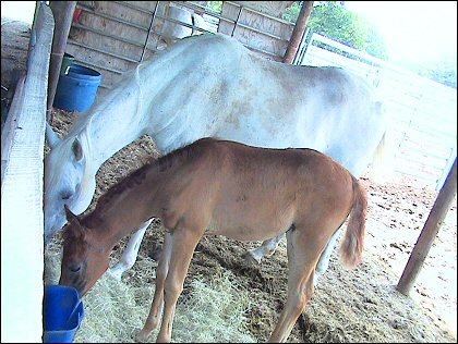 Emma and her baby - June 18