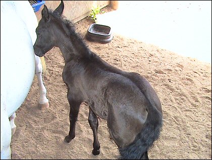 Riyala and her baby - June 18