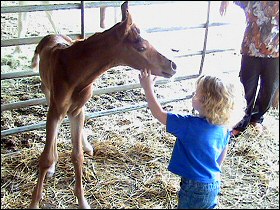 The birth of Hannah's baby