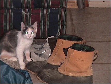Olivia in Puss 'n' Boots