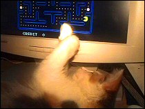 Olivia vs. Pac-Man