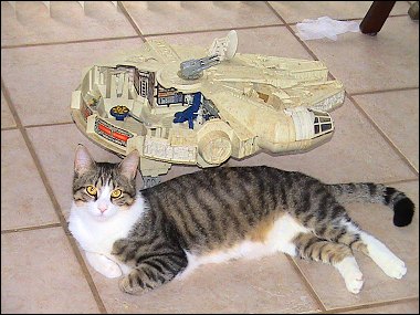 Oberon vs. the Millennium Falcon