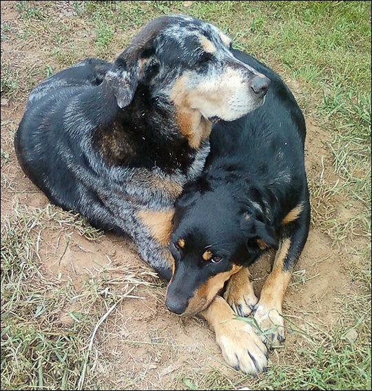 Xena and Gabby