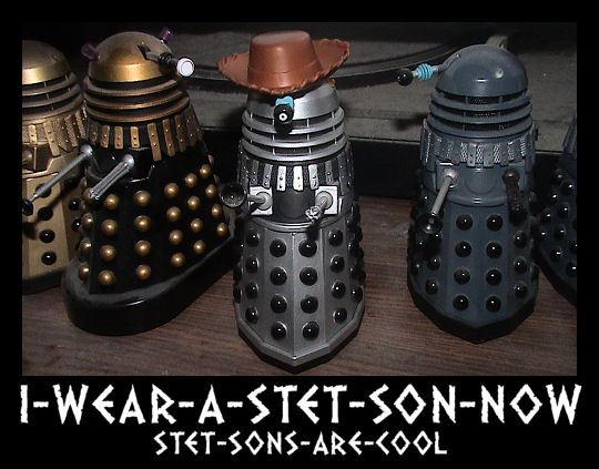 I-WEAR-A-STET-SON-NOW-STET-SONS-ARE-COOL
