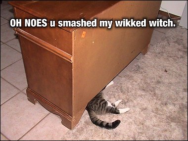 OH NOES u smashed my wikked witch.