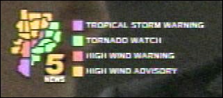 Tropical Storm WTF?