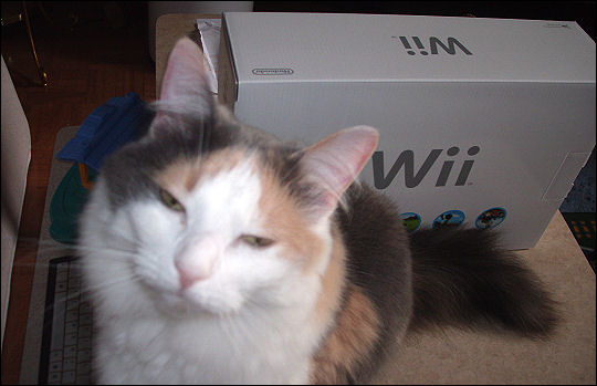 Olivia vs. the Wii