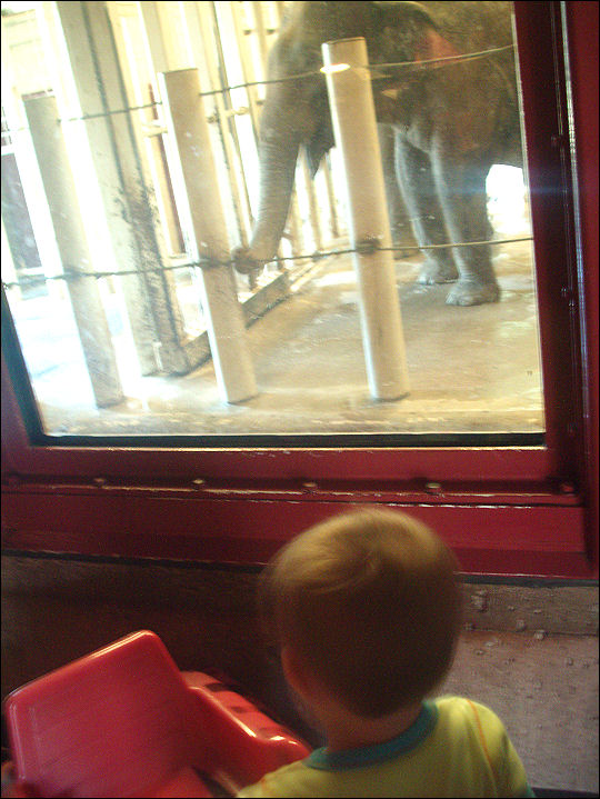 Evan's trip to the zoo
