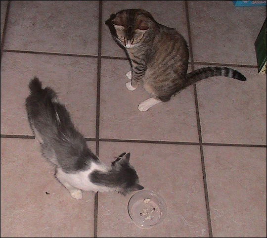 Portia and Maria sneak a snack