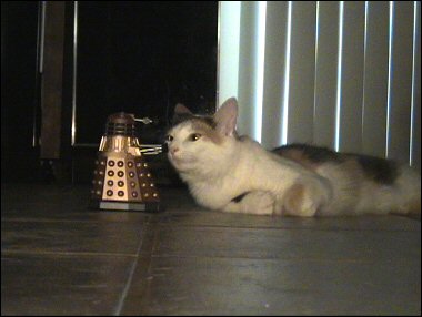 Olivia vs. the Daleks