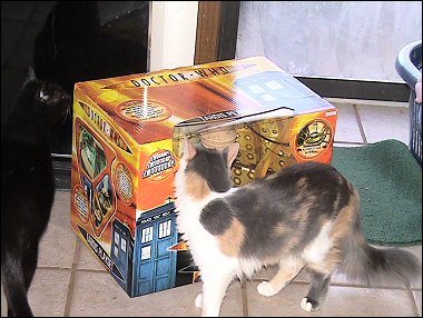 Quickly, Olivia, into the TARDIS!