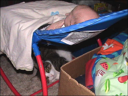 Evan in his bouncy chair