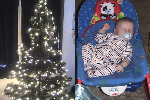 Evan and the Christmas Tree