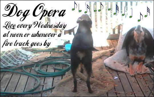 Dog Opera