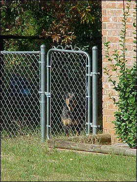 Xena at the gate