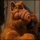 ALF